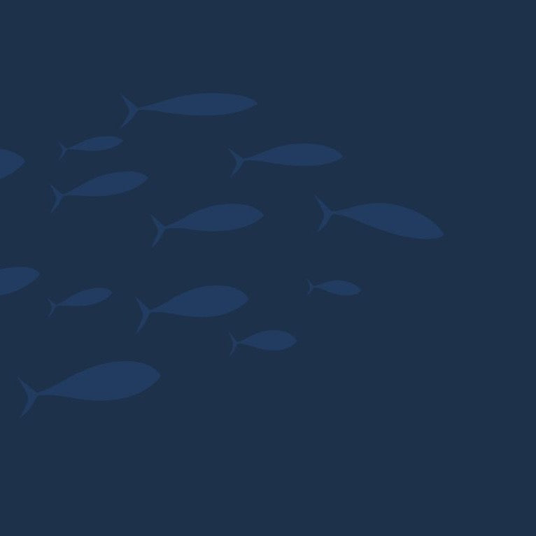 Lures that get bit