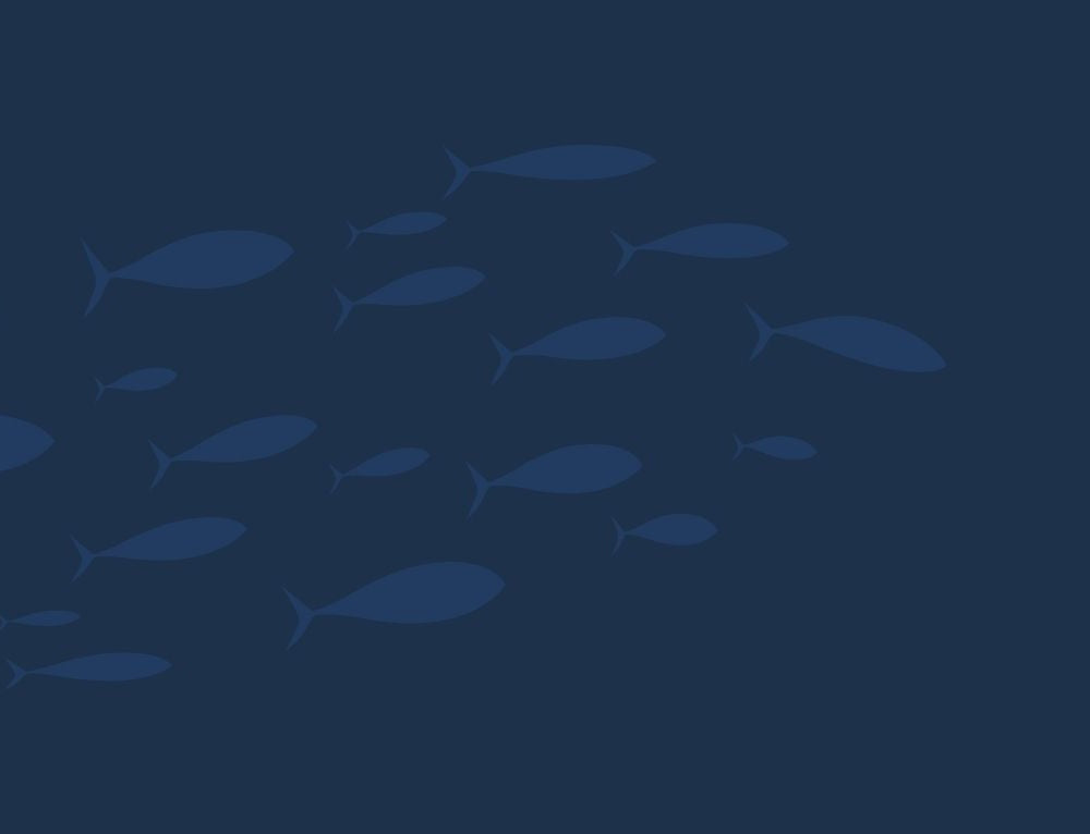 Lures that get bit