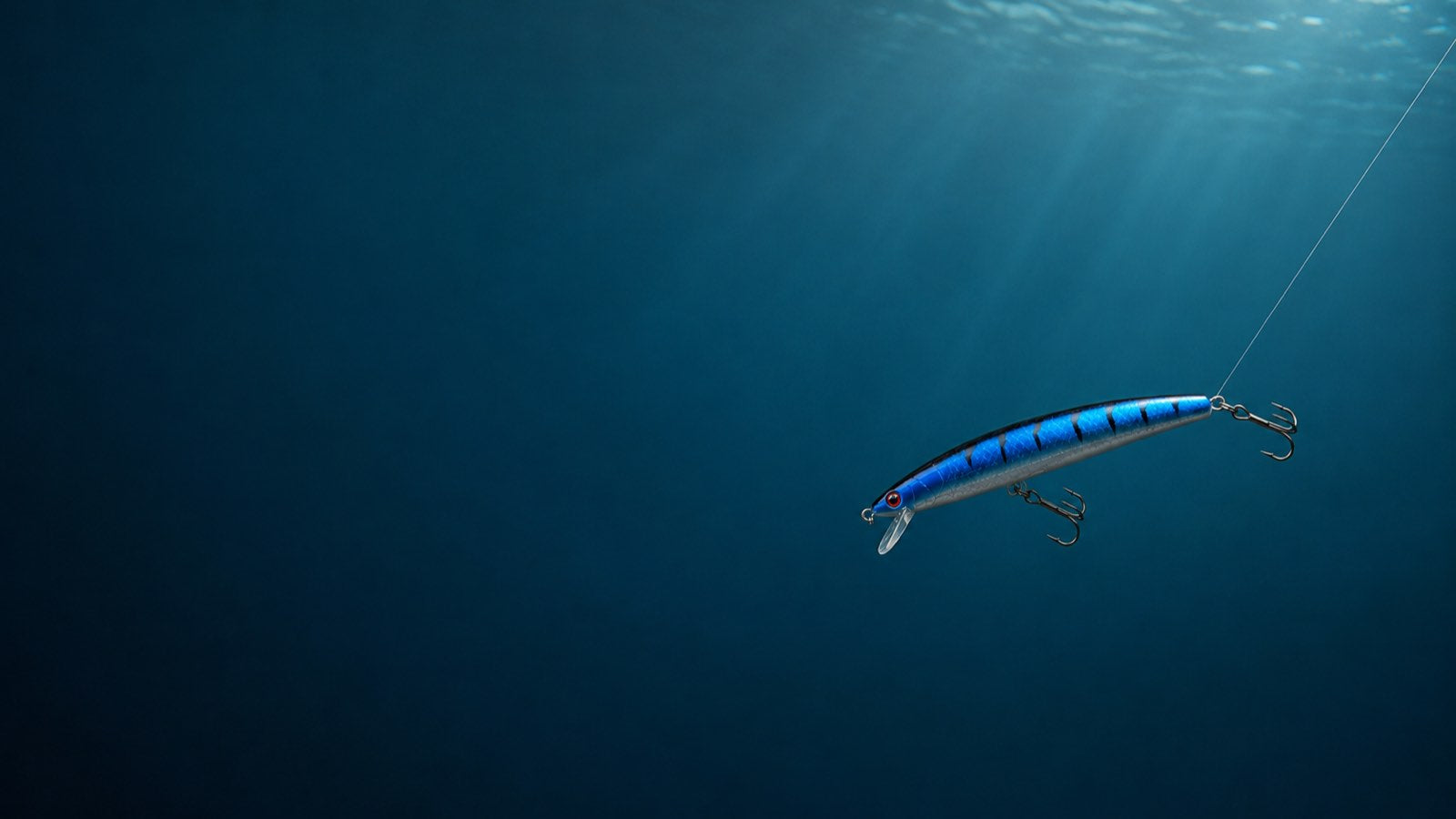 The 10-Pack Minnow Box Is Here